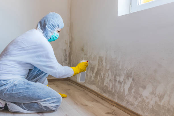 Mold Remediation specialist working in New Freedom